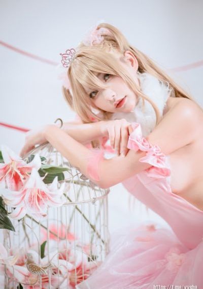 花蝴蝶电视剧全集播放