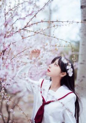 最新动漫在线观看